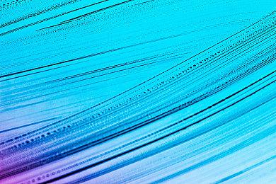 网易单机游戏《归唐》视觉图、预告公开